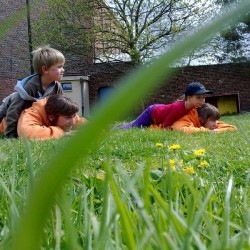 52010604 - Scouts en Gidsen Zaventem 